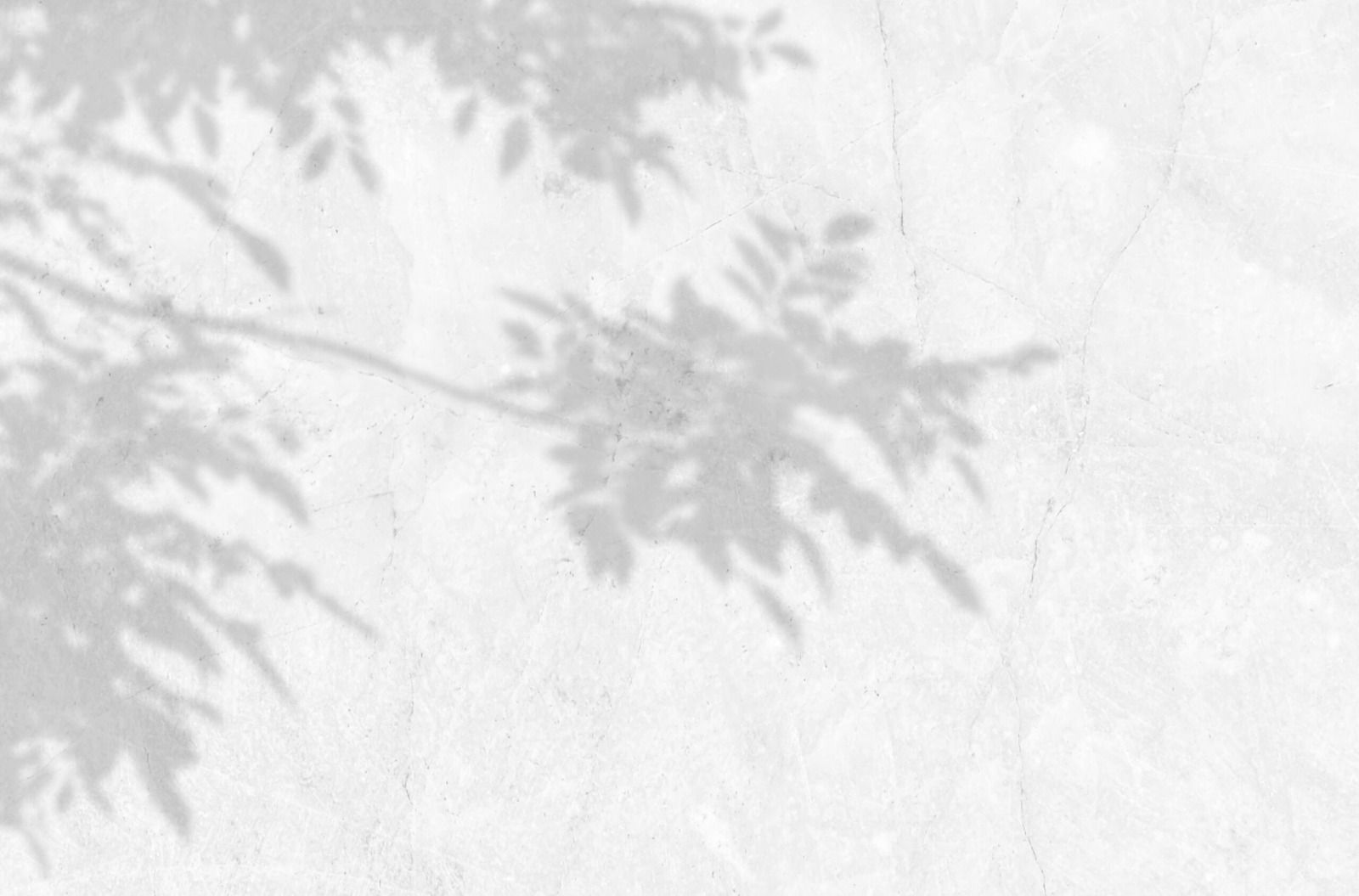 Background texture
