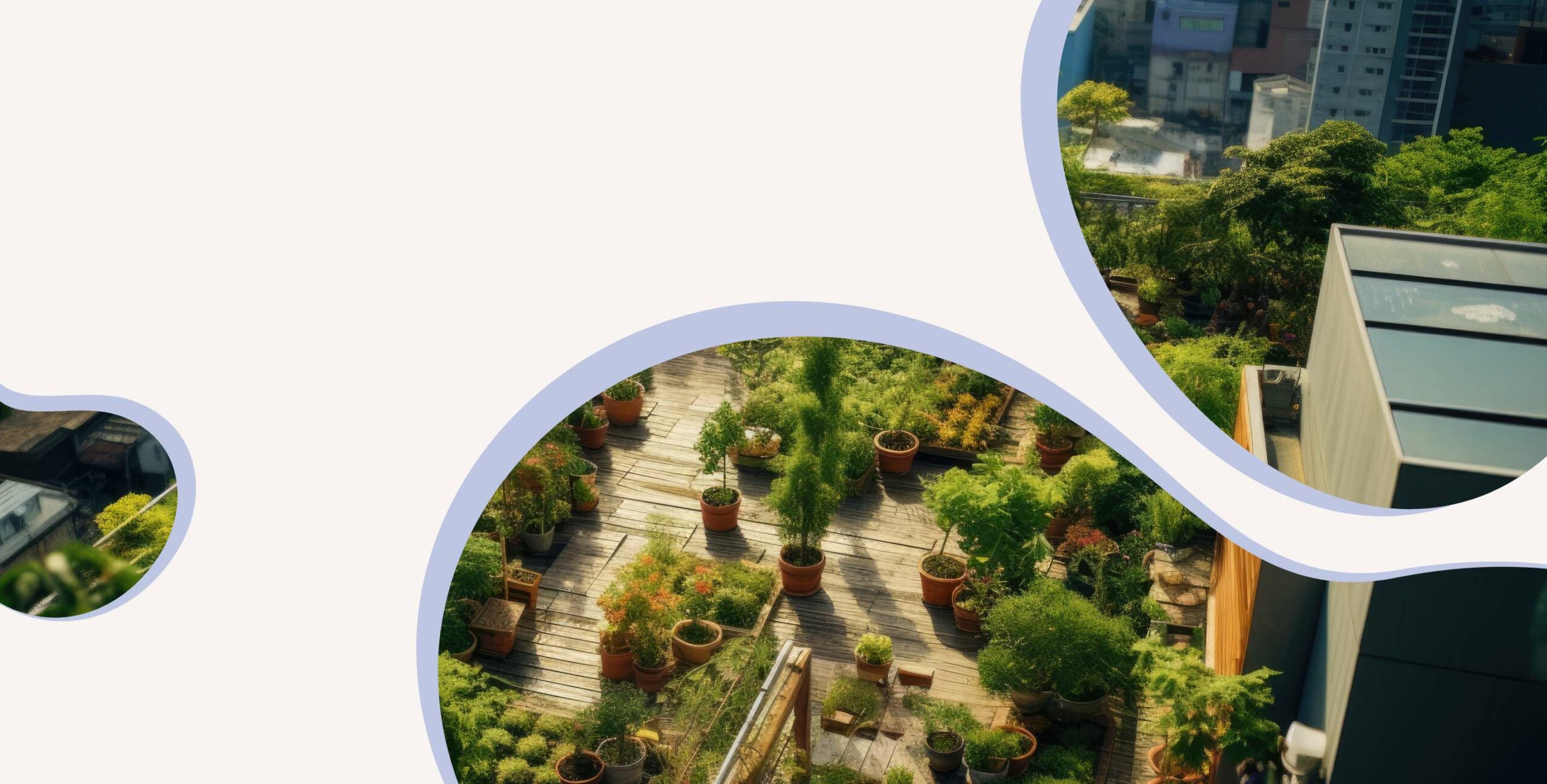 Terrasse végétale