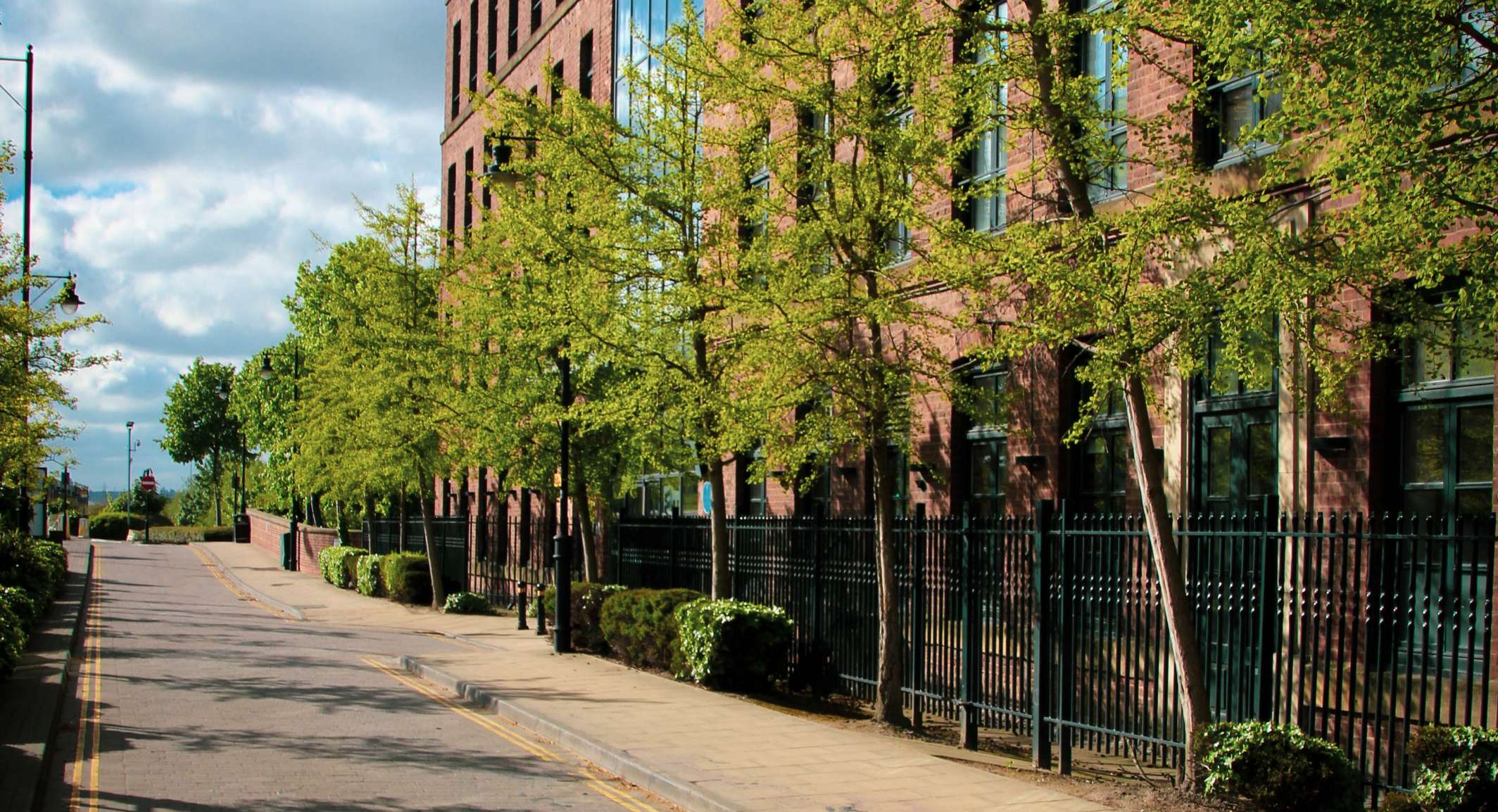 Vue urbaine avec arbres